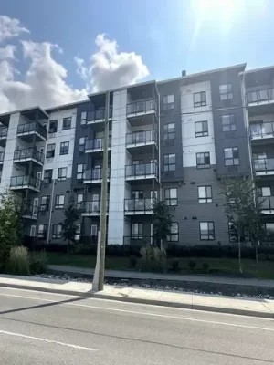 Vancouver painting experts Vancouver painting experts