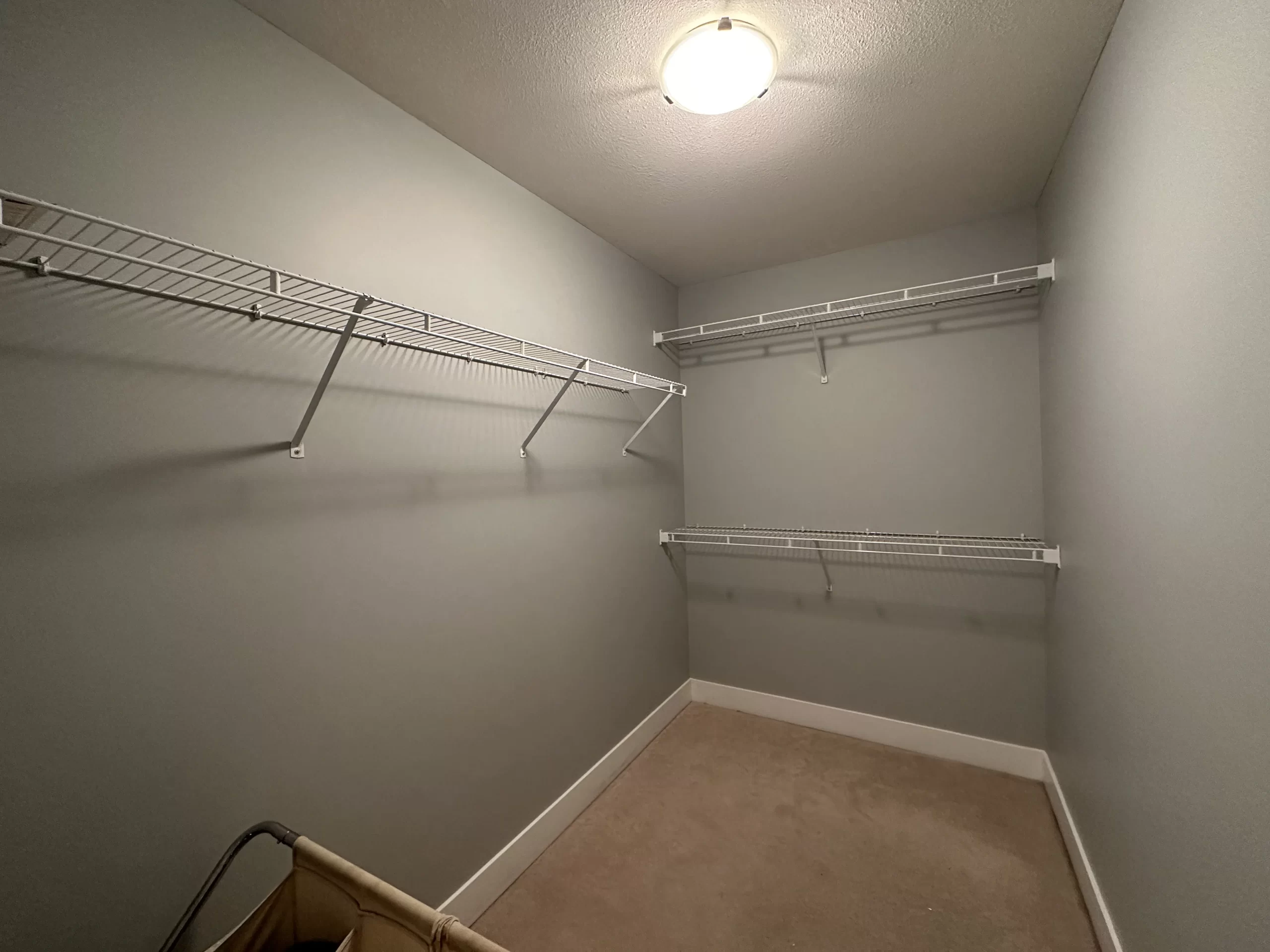 new westminster s finest painting services scaled new westminster s finest painting services scaled