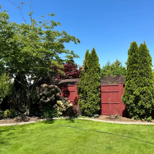Best Backyard Fence Painters in Burnaby scaled Best Backyard Fence Painters in Burnaby scaled