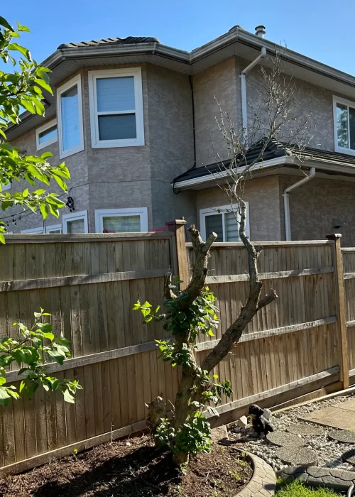 Cost effective best fence paint services scaled Cost effective best fence paint services scaled