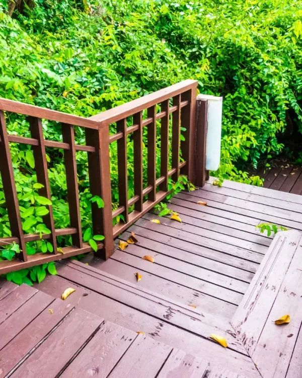 Premium Staining Services in Vancouver Premium Staining Services in Vancouver