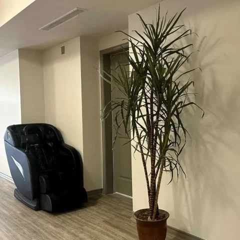 Quality office painting services offered in Burnaby Quality office painting services offered in Burnaby